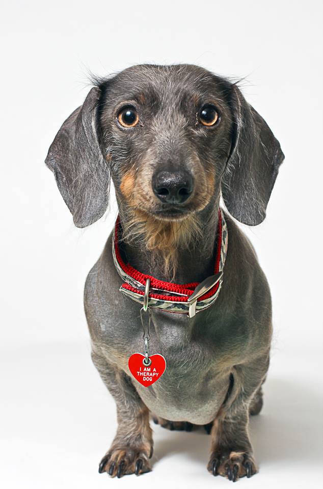 1488265_570812699680015_617242875_n