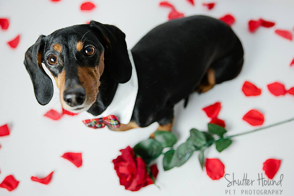 1606239_593536114074340_1543887476_o