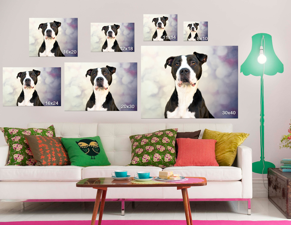 size_guide_shutterhound