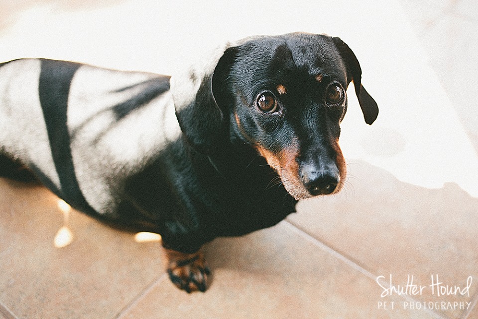 10157228_630549457039672_8698191771935950478_n