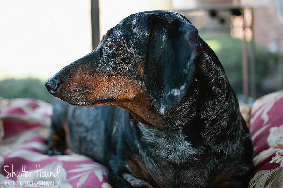 10170783_630976150330336_6674536379757483323_n