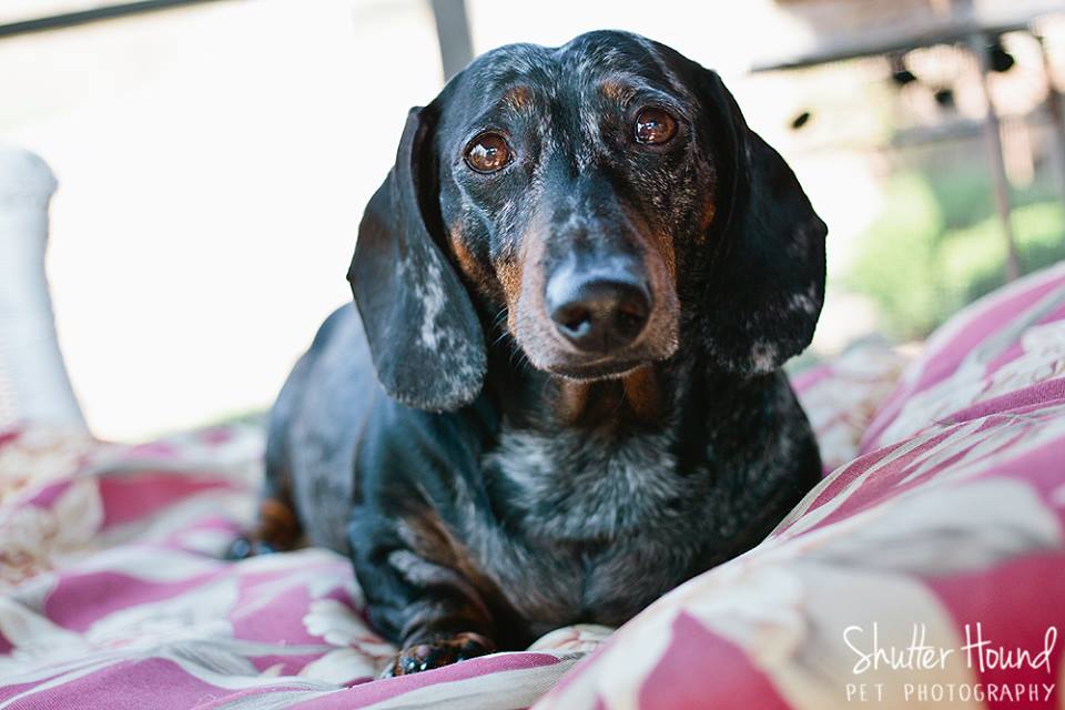 10251947_630976170330334_8930452498599029313_n