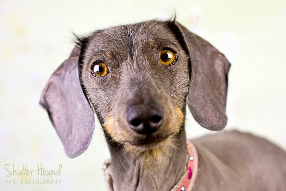 10265374_624472310980720_8693682502333467756_o