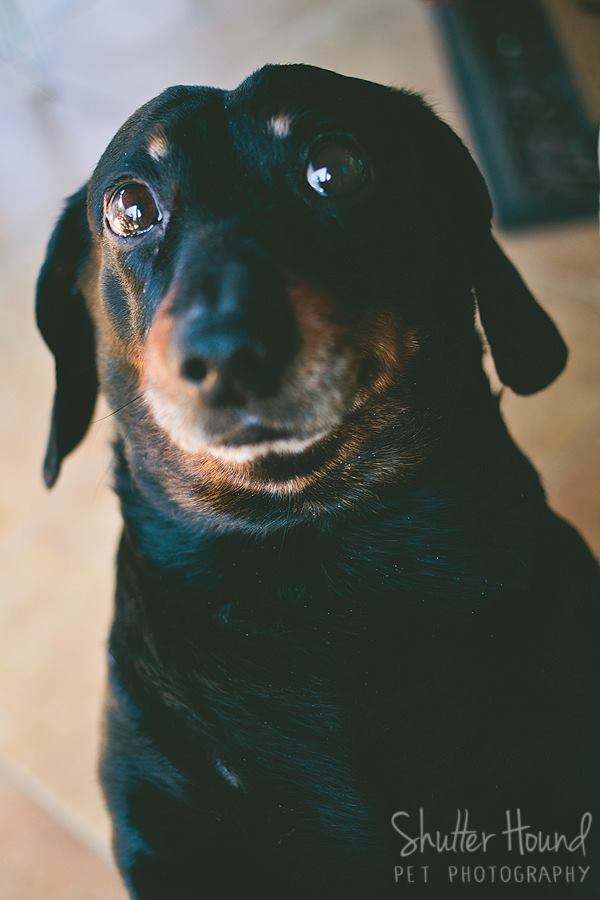 10288755_630549527039665_7623099521568856401_n