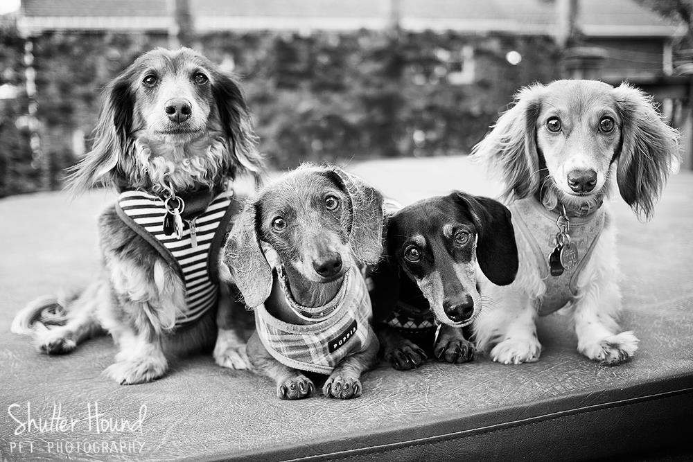 10365362_658777684216849_2665266929103546409_o