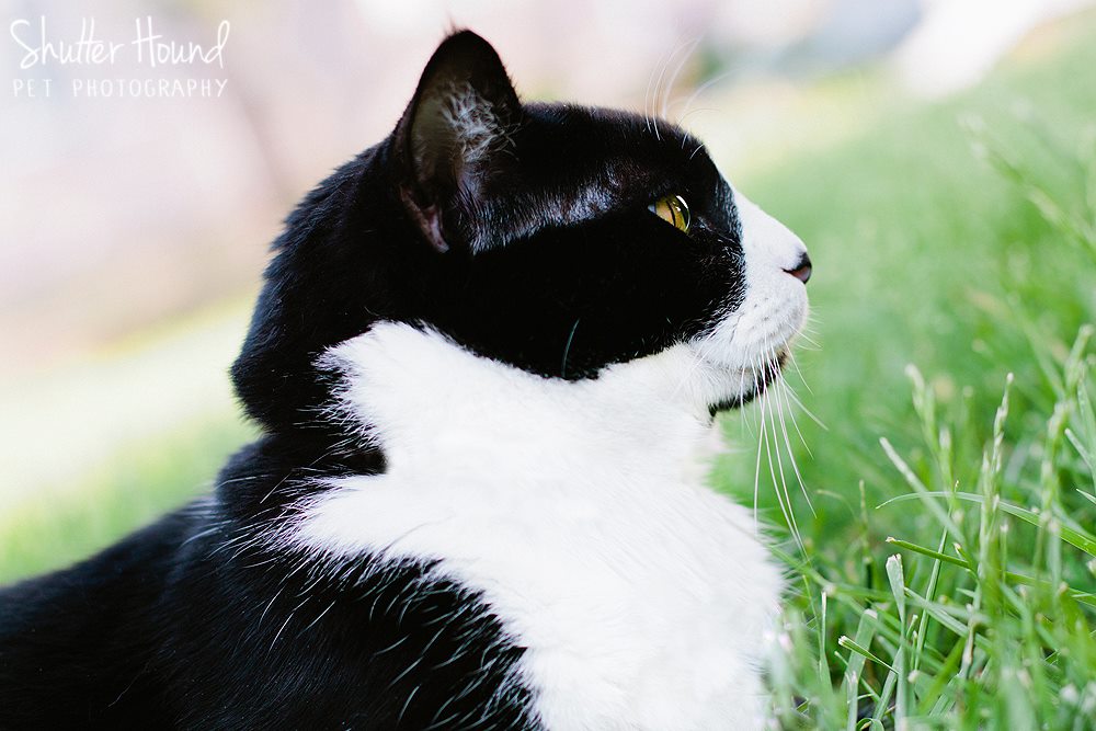 10373115_649825168445434_6680487180723819929_o