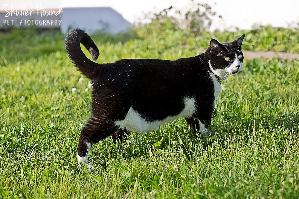 10397153_649825445112073_1750296821000322108_o