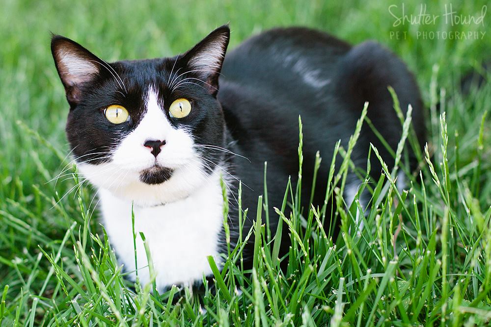 1492422_649824191778865_6864465773822717258_o