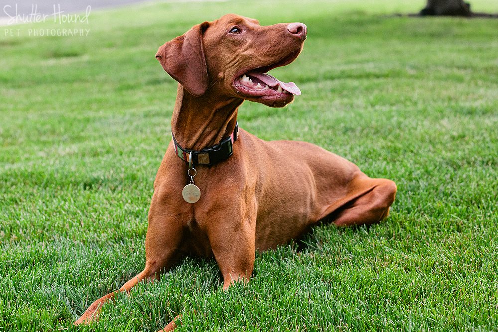 10498498_677705452324072_324415273220875472_o