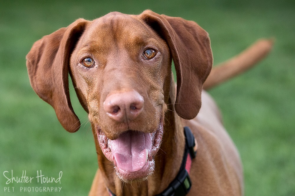 10498540_677704322324185_8248130752733202870_o