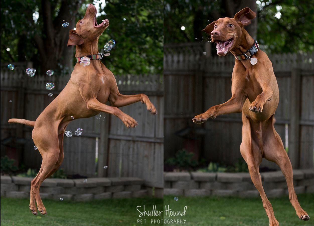 10499601_677703792324238_8761951476561163632_o