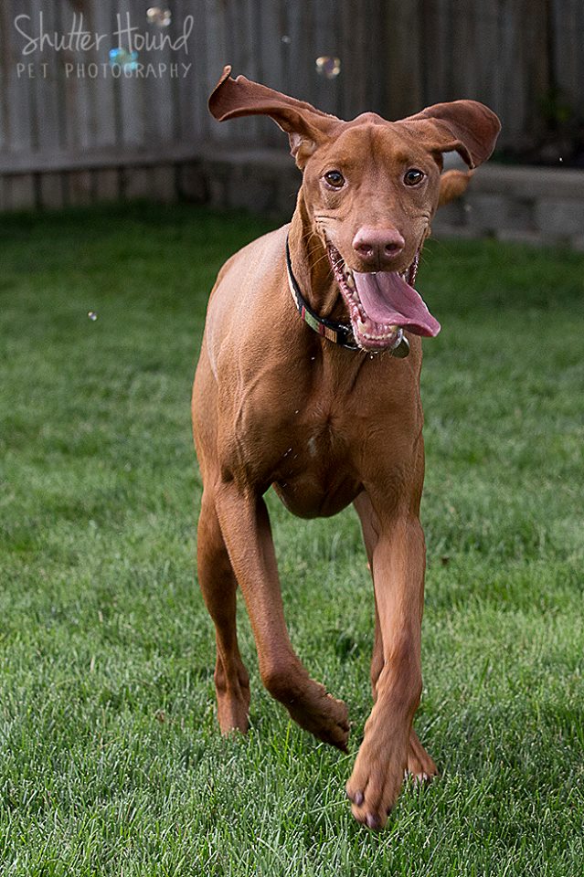 10502336_677703952324222_8805289844140498458_n