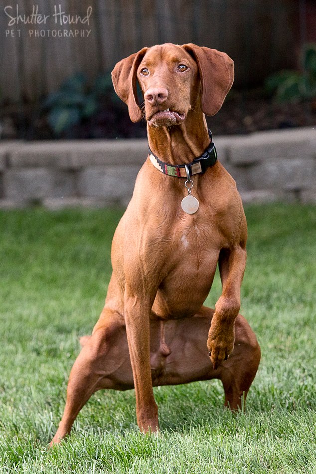 10509703_677704392324178_7025860855780175292_n