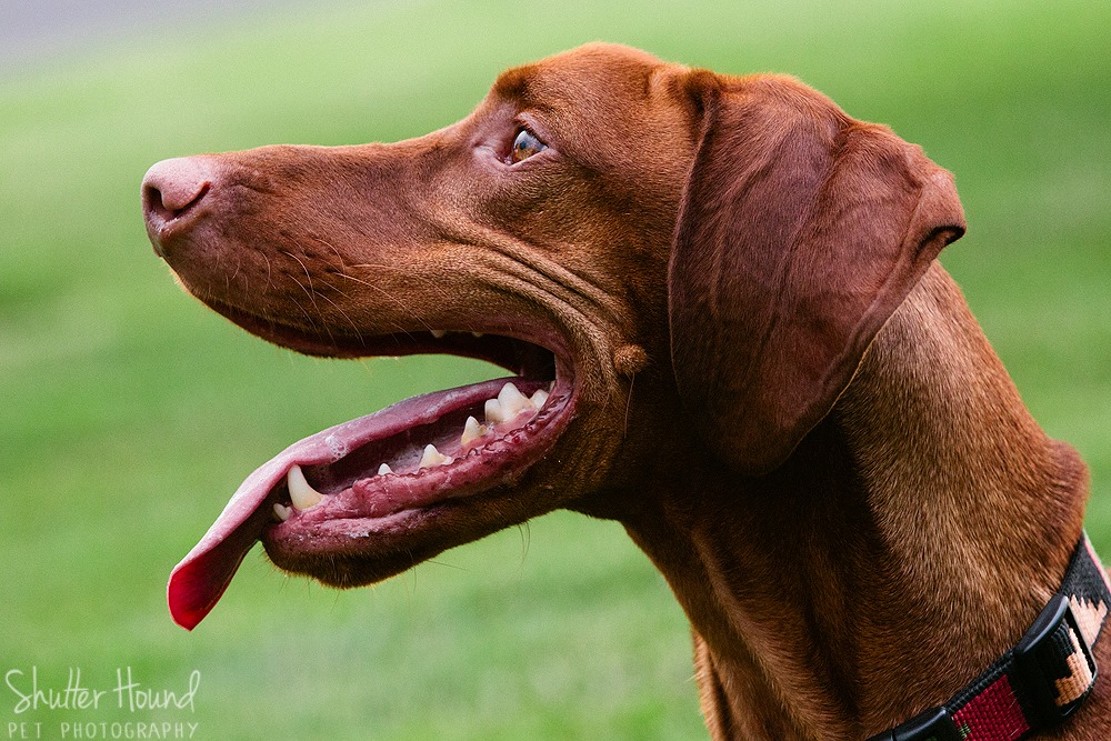 10517353_677706348990649_302742273316724586_o