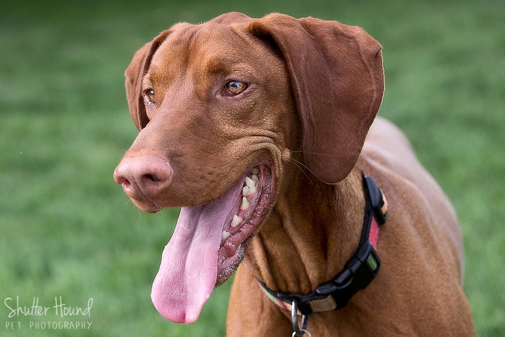 905838_677704235657527_7043988827030610764_o