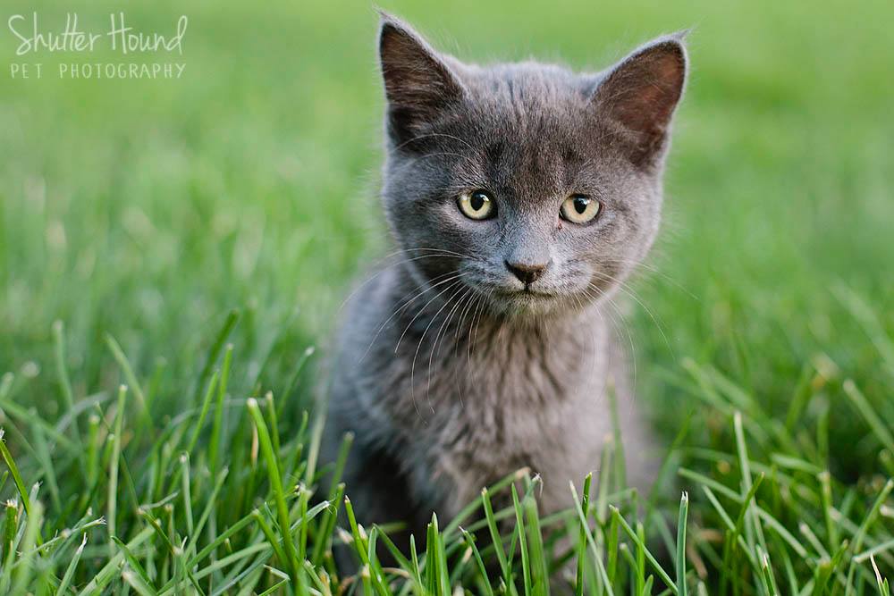 10575442_715684058526211_8723906062828166812_o