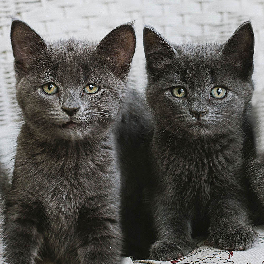 5x5_matte_q1_ZT8A9427