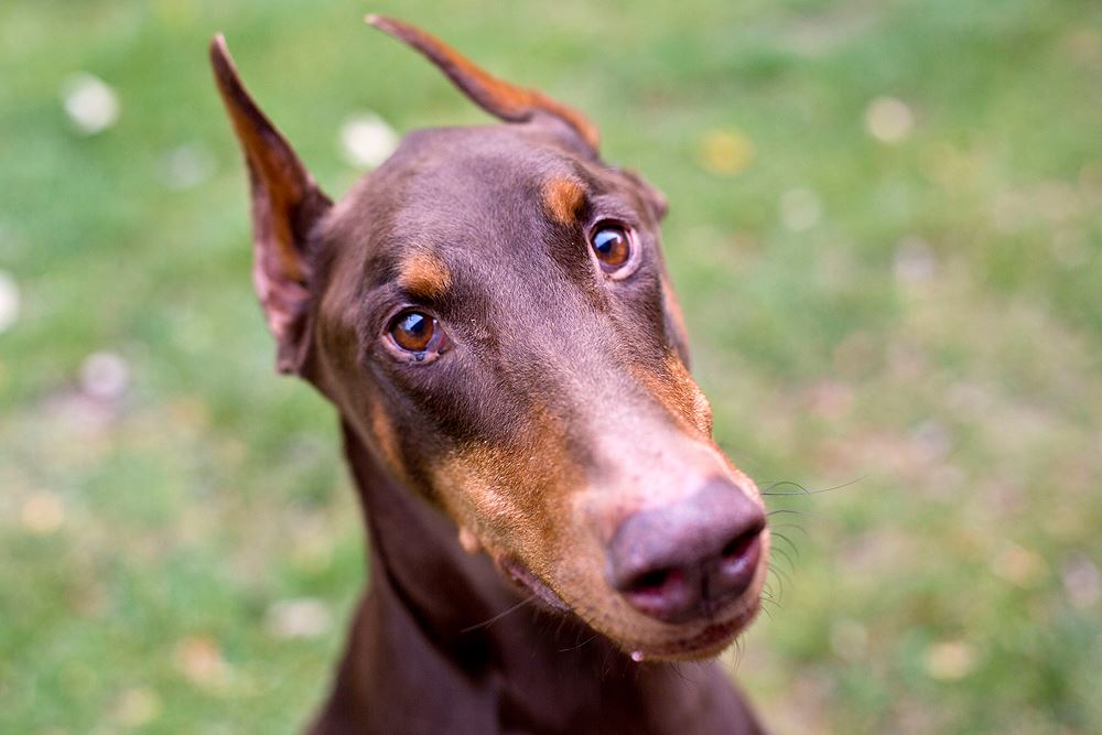 10712631_741335182627765_4103848053124442345_o