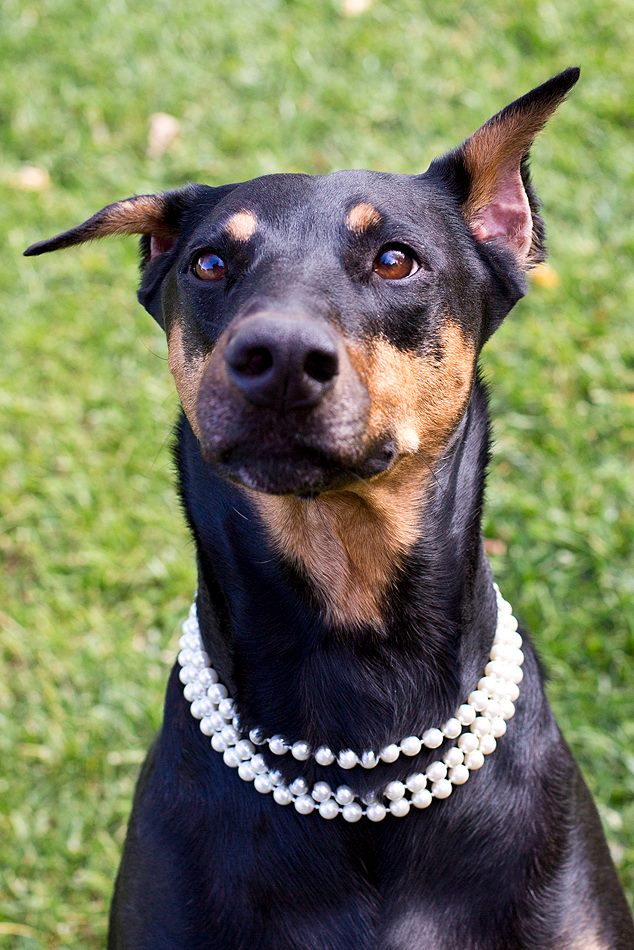 1891222_741335865961030_1783757428003066755_n