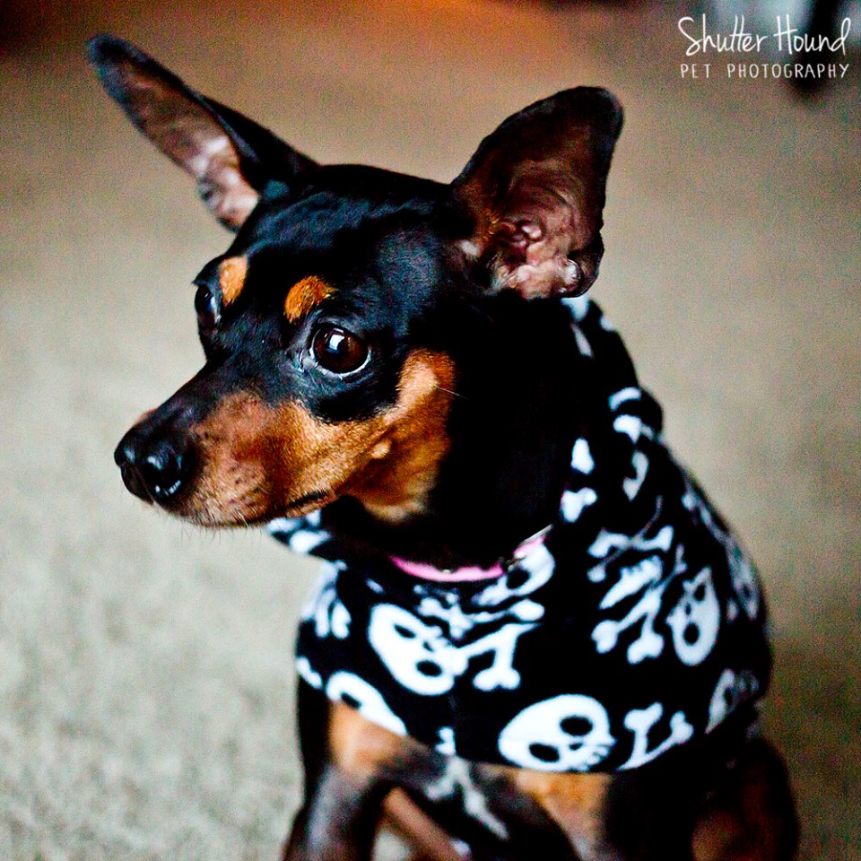 10431709_805430559551560_4735443406925803209_n