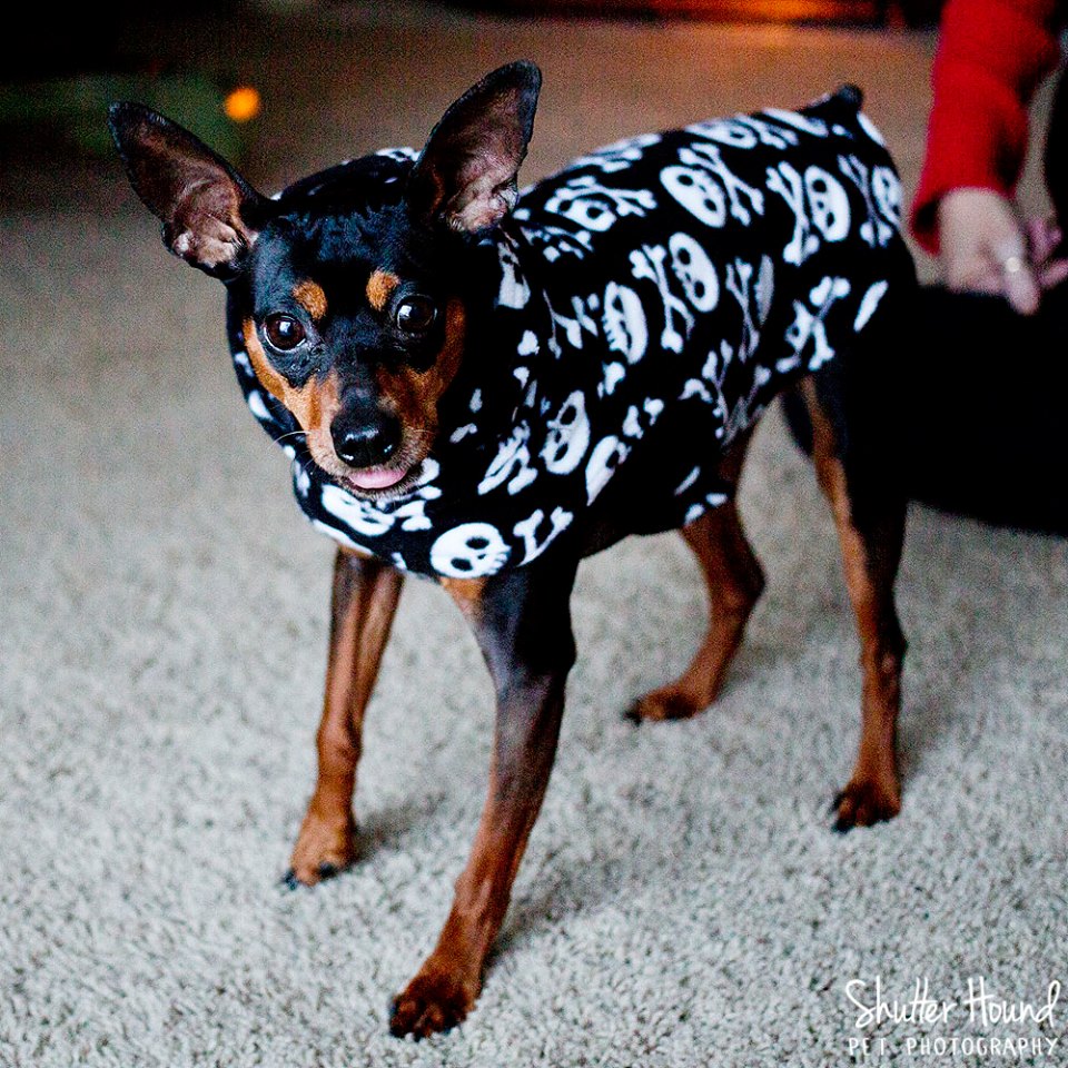 10646893_805430546218228_4681986659065599703_n