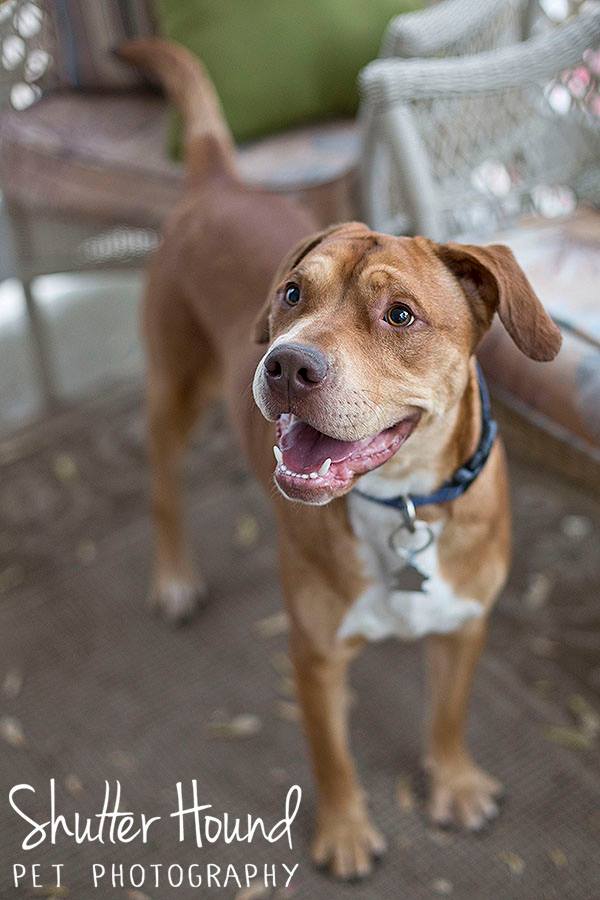 11024770_847913261969956_23241628601521589_n