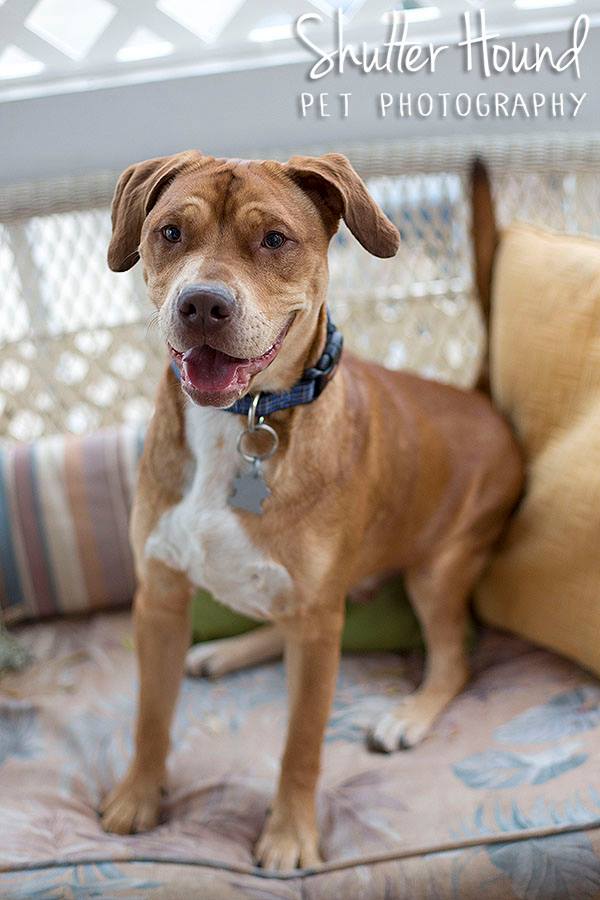 11112450_847913221969960_4946463314116471813_n