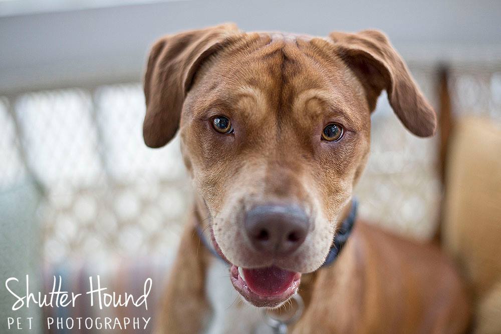 11146645_847913265303289_3128815378882125230_o