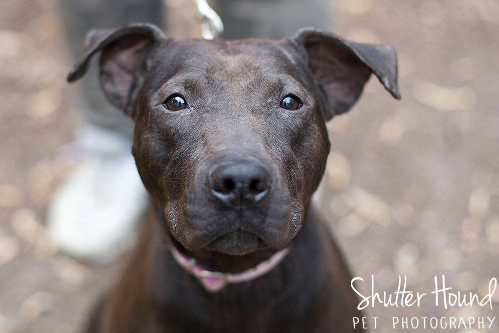 11174413_847914321969850_3066793829004226478_o