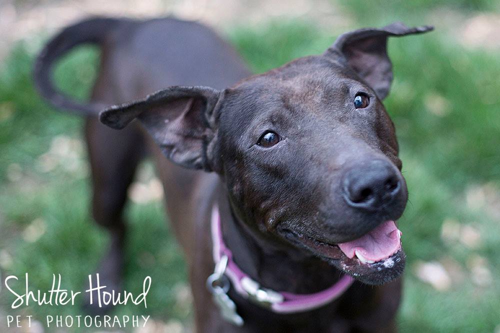 11187221_847914325303183_7185519388083038725_o