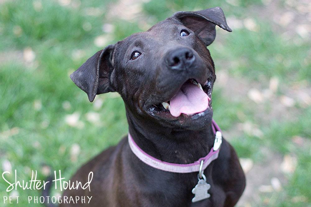 11187797_847914311969851_8546564137222372391_o