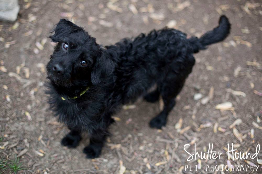 11194630_847914815303134_1194023217942612821_o