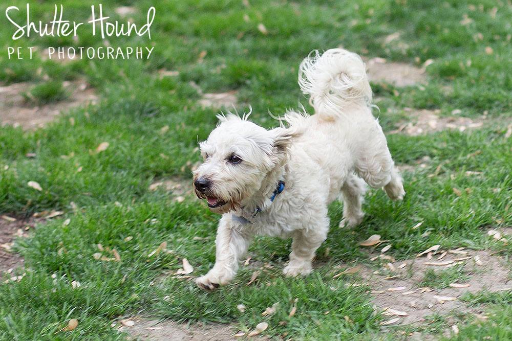 11212196_847913468636602_5262480582250380817_o