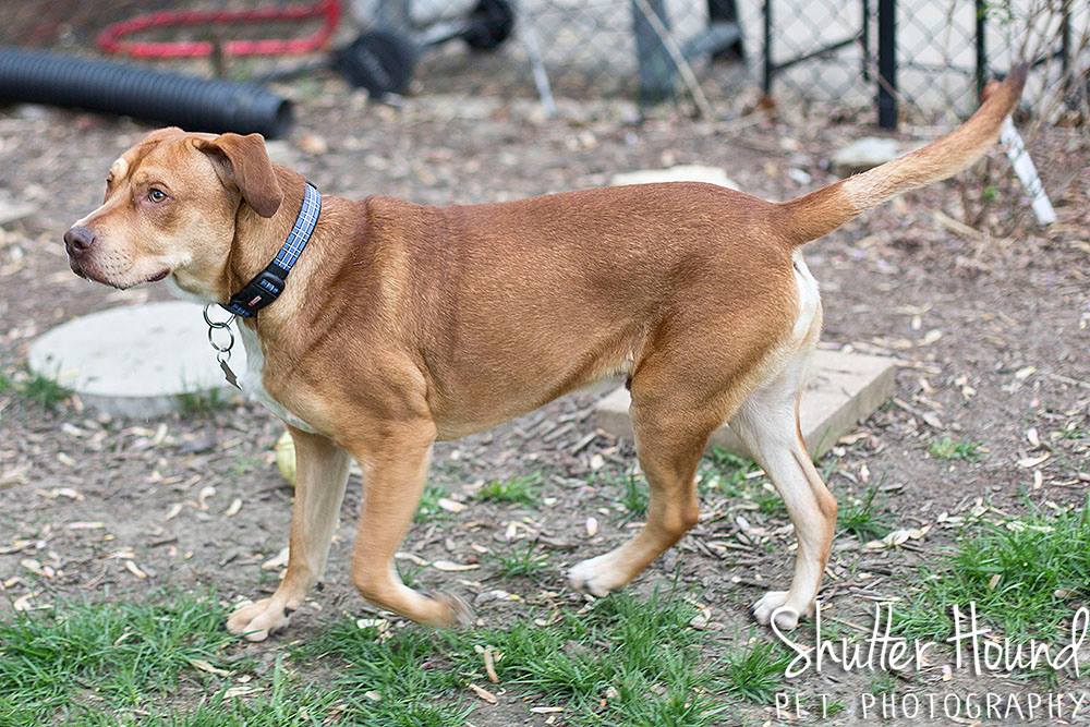 11235347_847913271969955_2031526099940955085_o