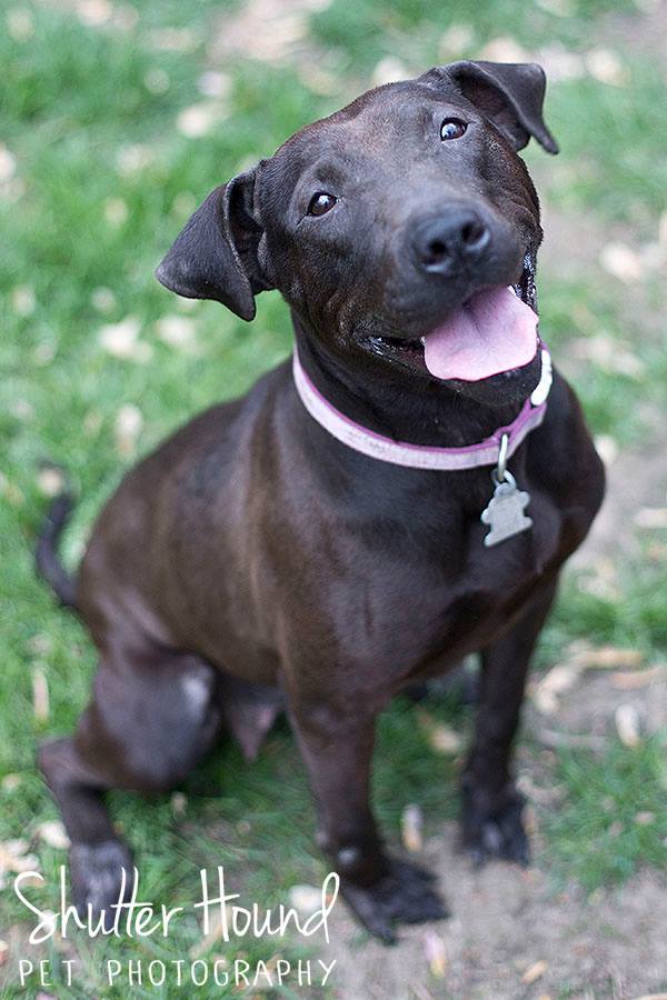 1507163_847914315303184_6118868401020706415_n