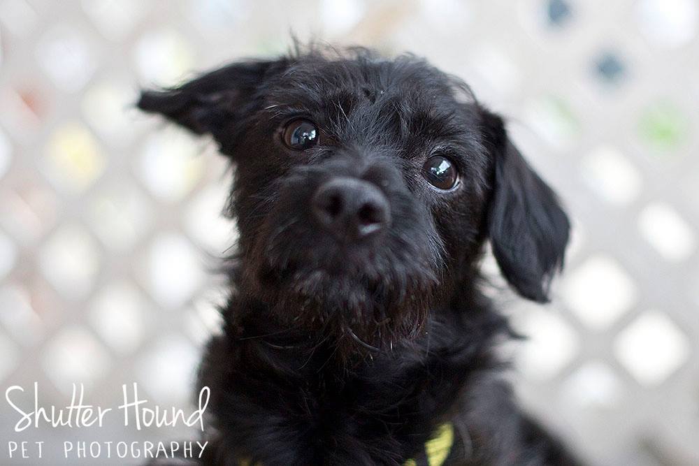 1658539_847914821969800_4909959953192906988_o