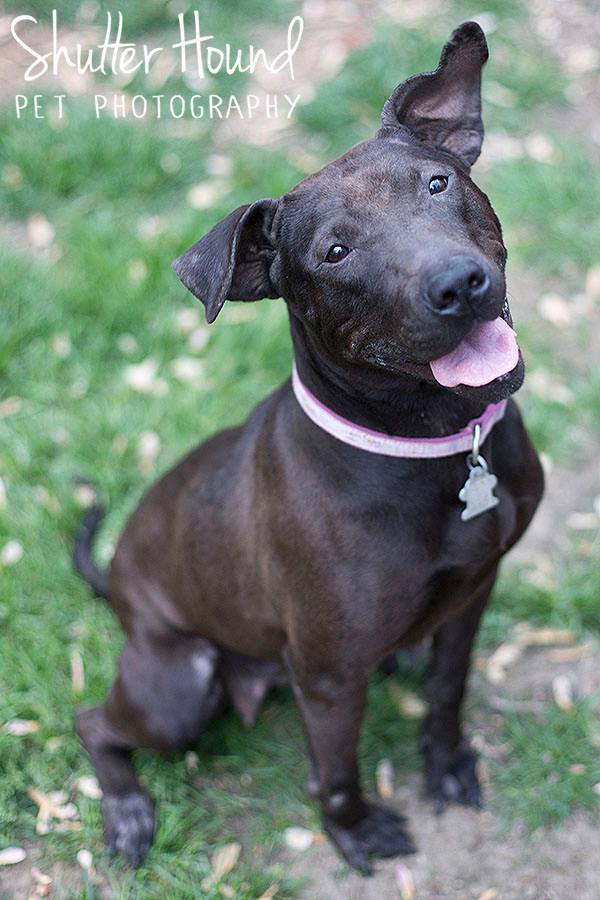 1796585_847914318636517_6181856222954229774_n