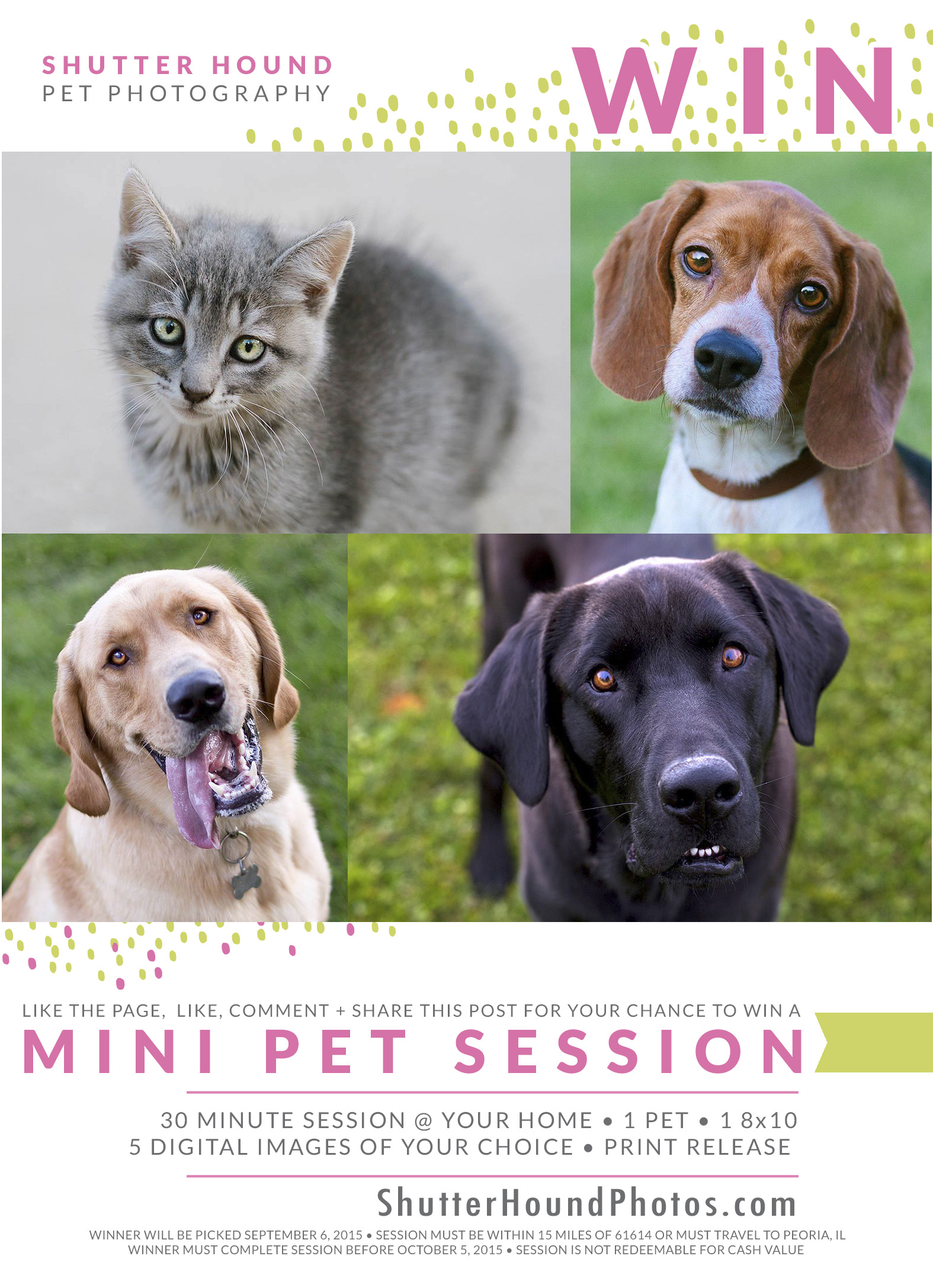 shutterhound_minisession_giveaway