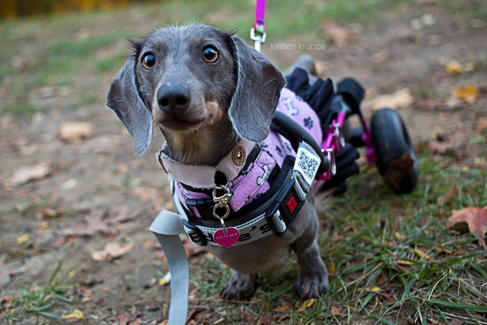 11053864_936944316400183_3749830355651826146_o