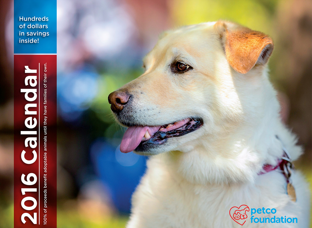 Screen Shot 2015-11-19 at 6.06.43 PM