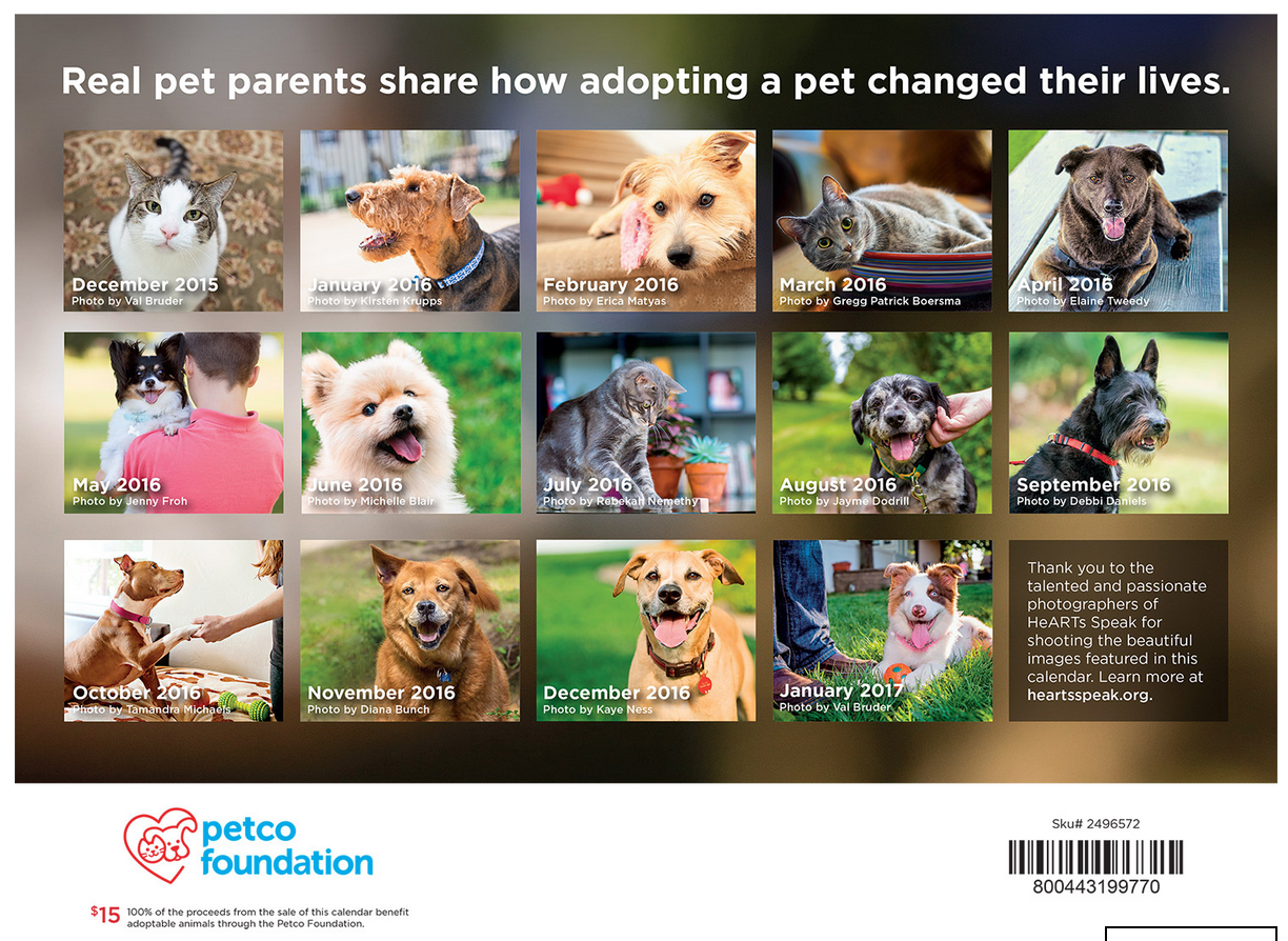 Screen Shot 2015-11-19 at 6.06.53 PM