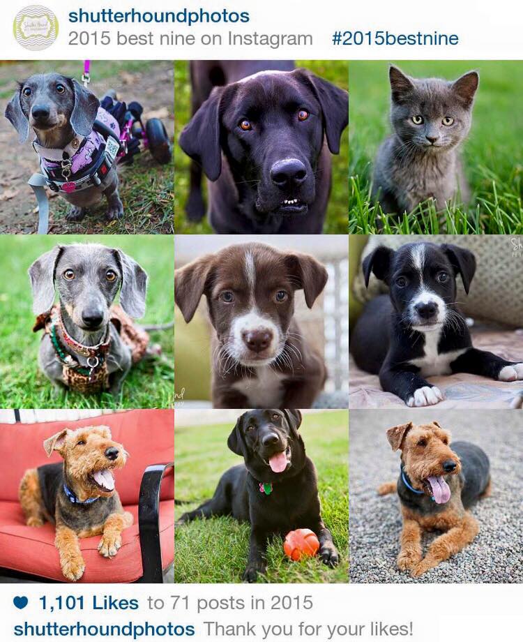 10267_1006849692742978_5190077040748191065_n