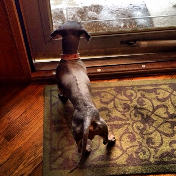 screen-shot-2016-11-11-at-11-11-10-am