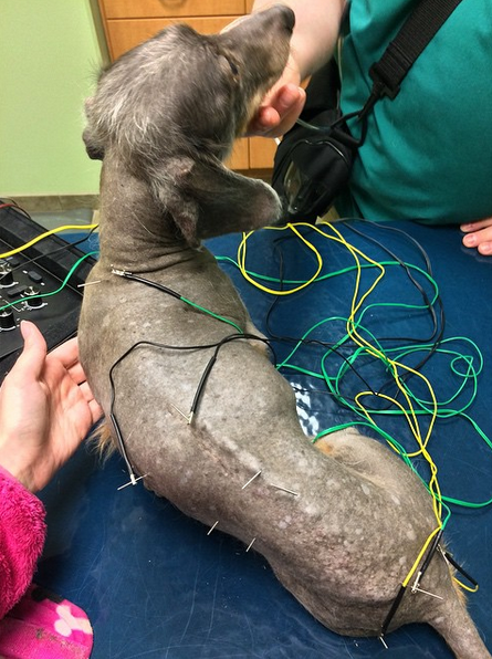 Screen Shot 2017-01-15 at 3.31.48 PM