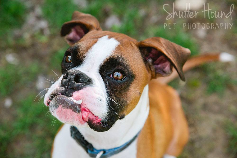 17880346_1400952739999336_5160012585950335074_o