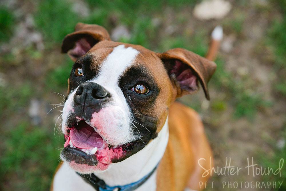 17966574_1400952726666004_6236782807095822418_o