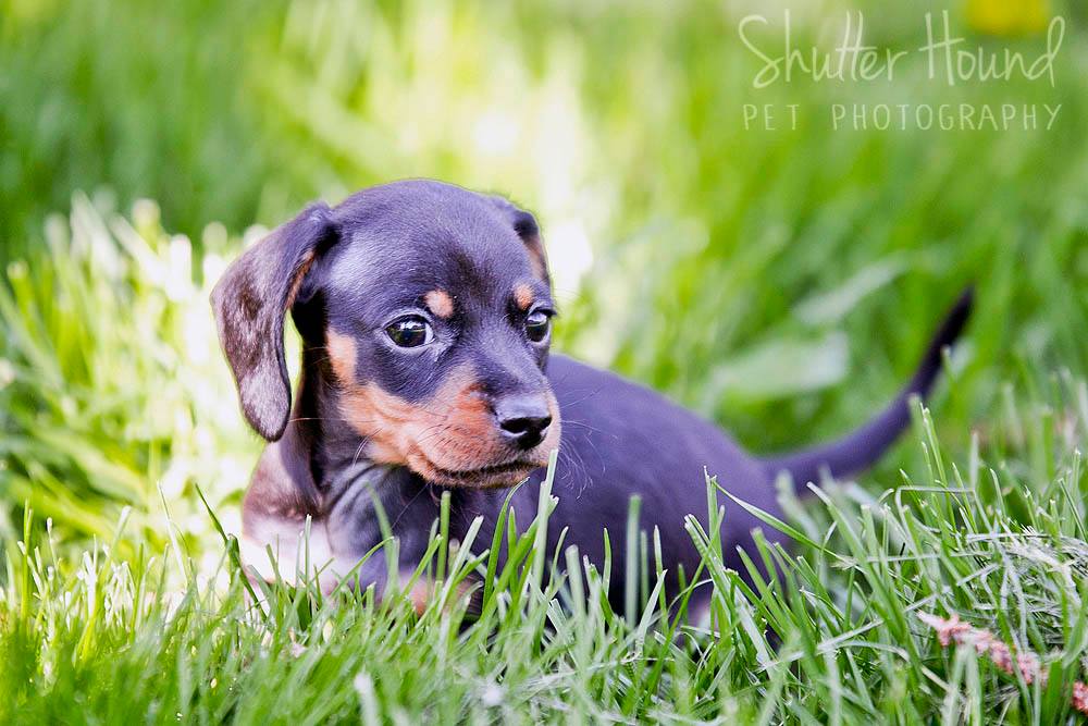 17991313_1405449872882956_2033211935826488360_o