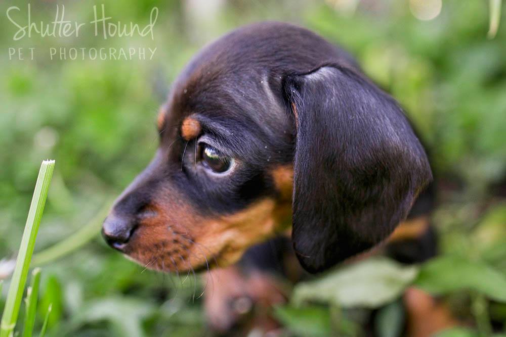 18076488_1405449882882955_3491051586855416684_o