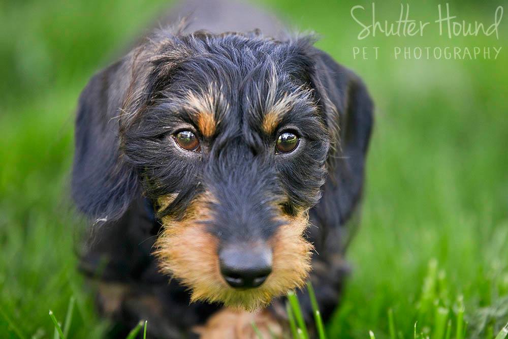 18076742_1405447936216483_1594540455484200248_o