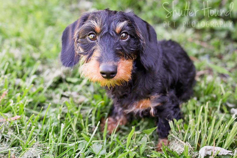 18076805_1405447729549837_3005540937594744679_o